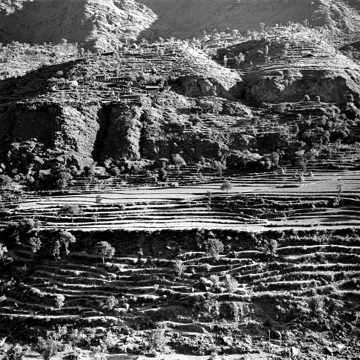 Terraced hills along the Ravi River near Chamba, Himachal Pradesh.